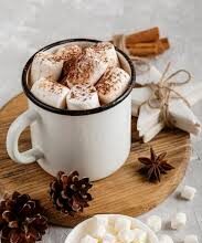 “मार्शमैलो और दालचीनी के साथ सर्दियों की स्पेशल हॉट चॉकलेट का कप”