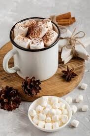 “मार्शमैलो और दालचीनी के साथ सर्दियों की स्पेशल हॉट चॉकलेट का कप”