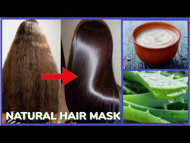 दही और एलोवेरा से बना घरेलू हेयर पैक, जो बालों को पोषण देकर पार्लर जैसा हेयर ट्रीटमेंट घर पर देता है